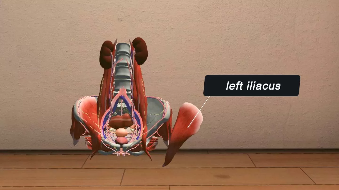 Oculus Quest game BioDigital Human The BioDigital Human VR Oculus Meta Quest all-in-one education game
