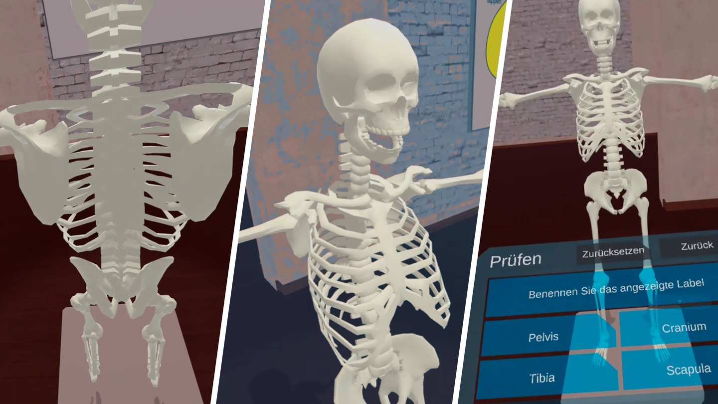 Oculus Quest game "Anatomy Lab" VR Anatomy Lab VR Anatomy Lab Oculus Meta Quest VR game