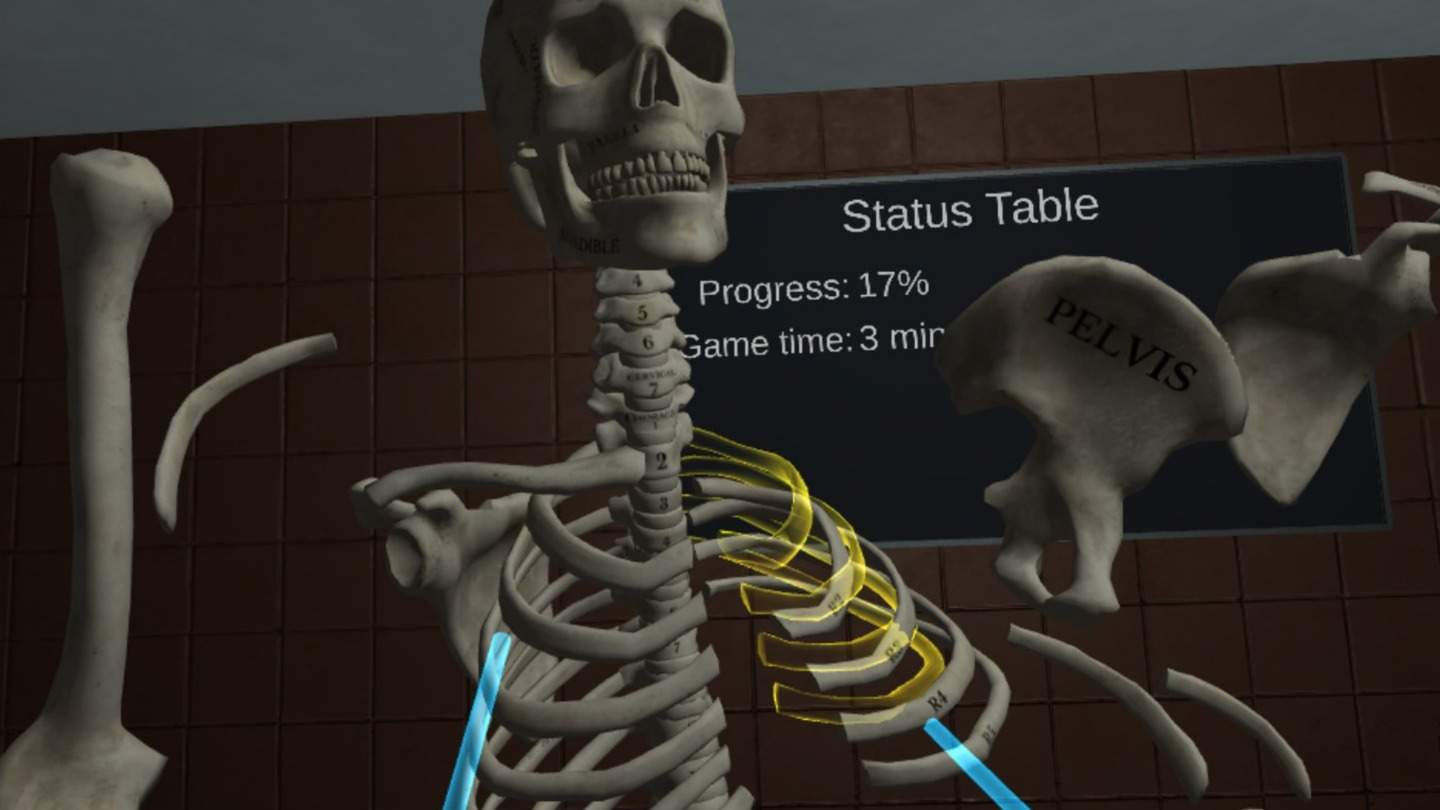 Oculus Quest 游戏《人体解剖学》Human Anatomy Puzzle Human Anatomy Puzzle VR Oculus Meta Quest all-in-one education game