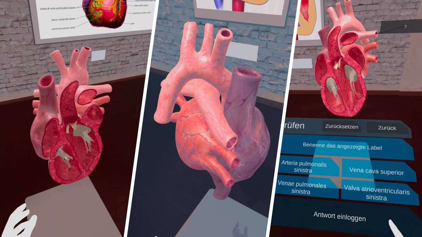Oculus Quest game "Anatomy Lab" VR Anatomy Lab VR Anatomy Lab Oculus Meta Quest VR game
