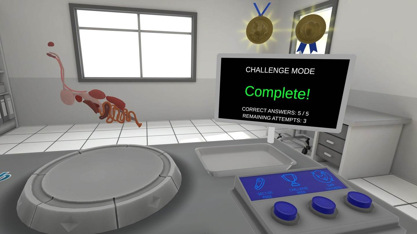 Oculus Quest 游戏《小鸡的解剖》Anatomy of a Chicken Anatomy of a Chicken VR Oculus Meta Quest all-in-one education game