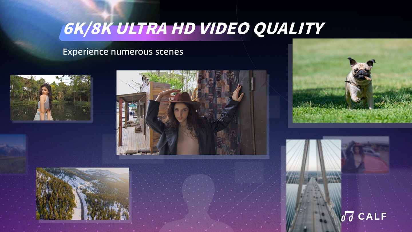 Oculus Quest 游戏《开飞视频》Calf VR Calf VR Oculus Meta Quest all-in-one 3D video app