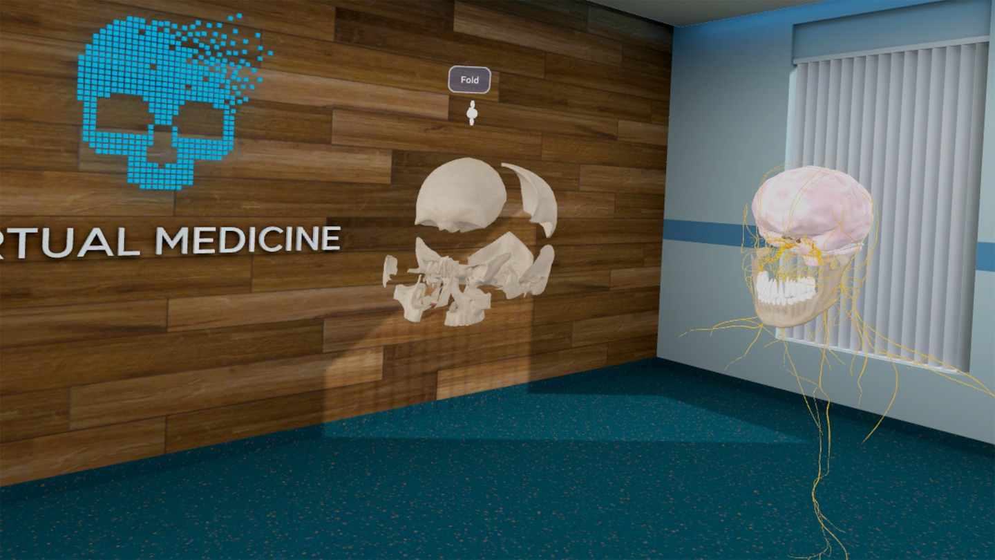 Oculus Quest 游戏《高中解剖学 VR》High School Anatomy for Quest High School Anatomy VR Oculus Meta Quest all-in-one simulation game