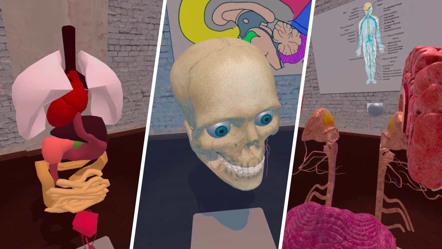 Oculus Quest game "Anatomy Lab" VR Anatomy Lab VR Anatomy Lab Oculus Meta Quest VR game