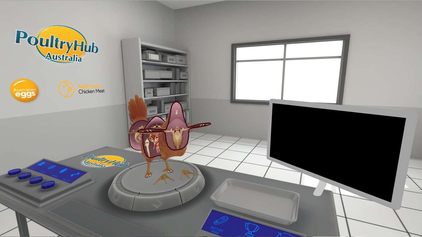 Oculus Quest 游戏《小鸡的解剖》Anatomy of a Chicken Anatomy of a Chicken VR Oculus Meta Quest all-in-one education game