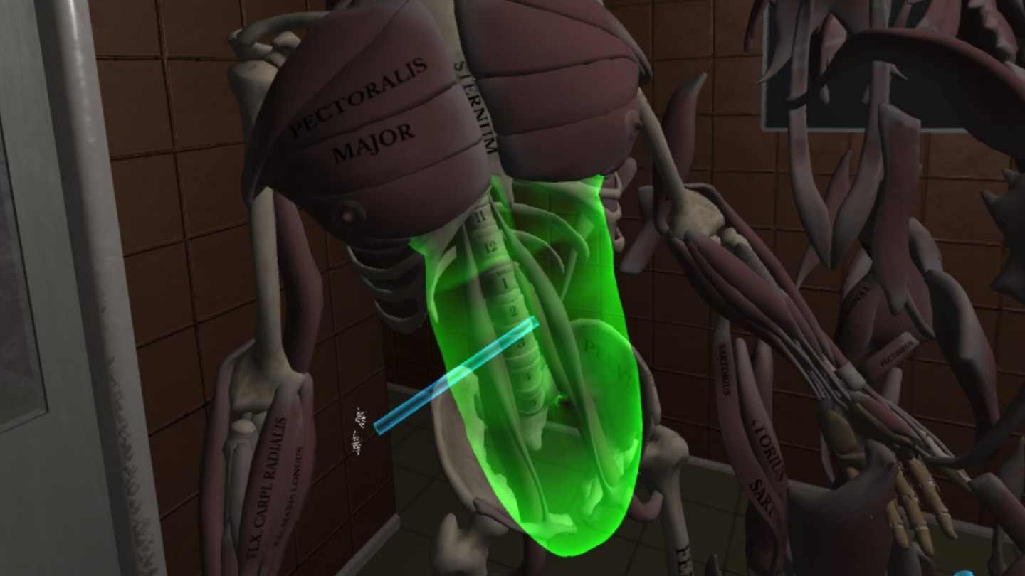Oculus Quest 游戏《人体解剖学》Human Anatomy Puzzle Human Anatomy Puzzle VR Oculus Meta Quest all-in-one education game