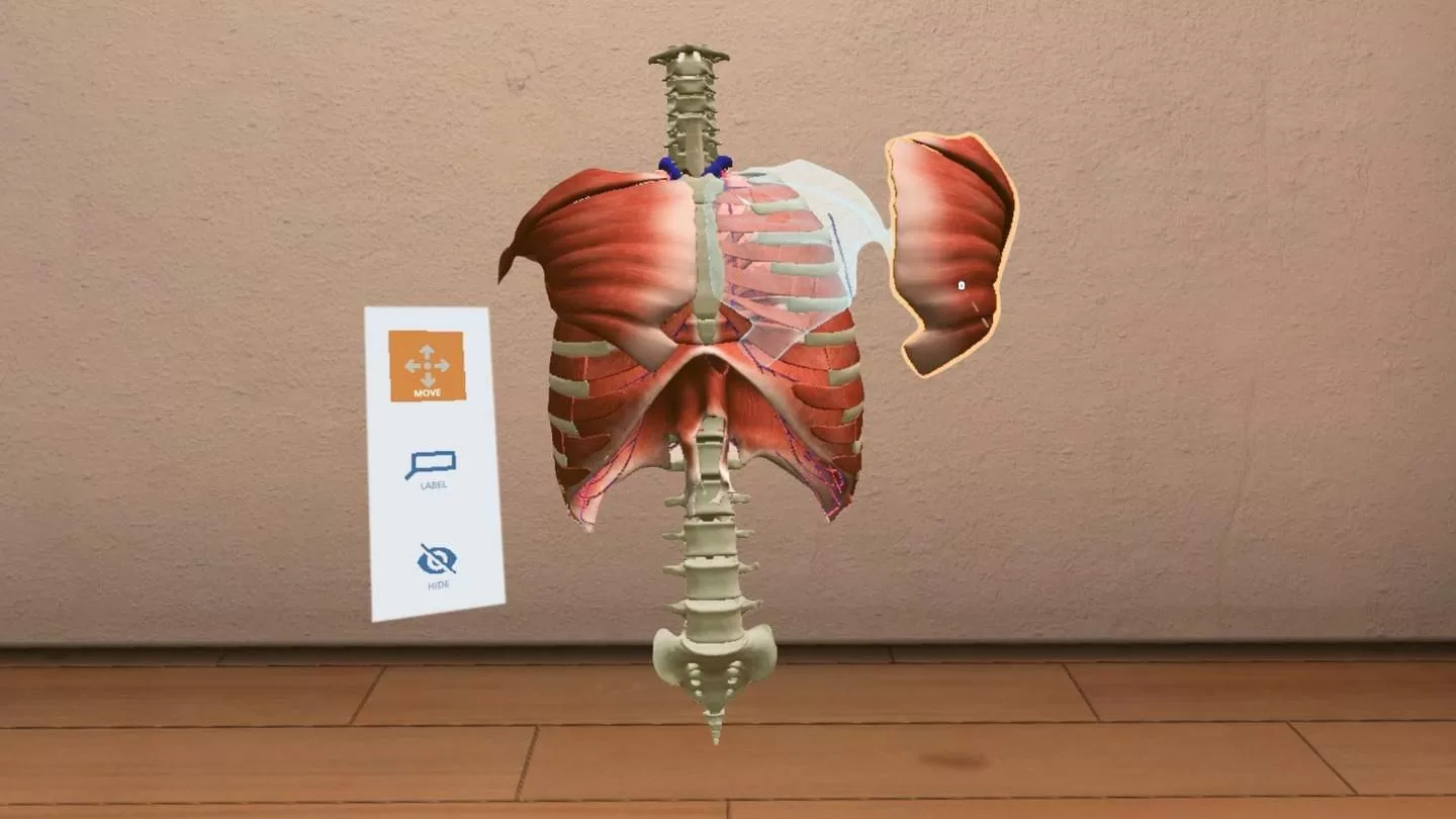 Oculus Quest game BioDigital Human The BioDigital Human VR Oculus Meta Quest all-in-one education game