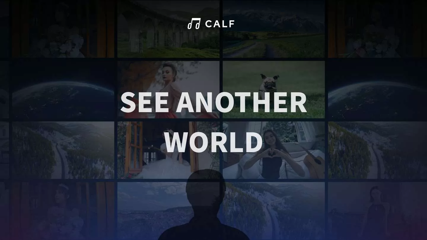 Oculus Quest 游戏《开飞视频》Calf VR Calf VR Oculus Meta Quest all-in-one 3D video app