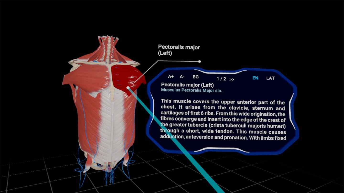 Oculus Quest 游戏《高中解剖学 VR》High School Anatomy for Quest High School Anatomy VR Oculus Meta Quest all-in-one simulation game