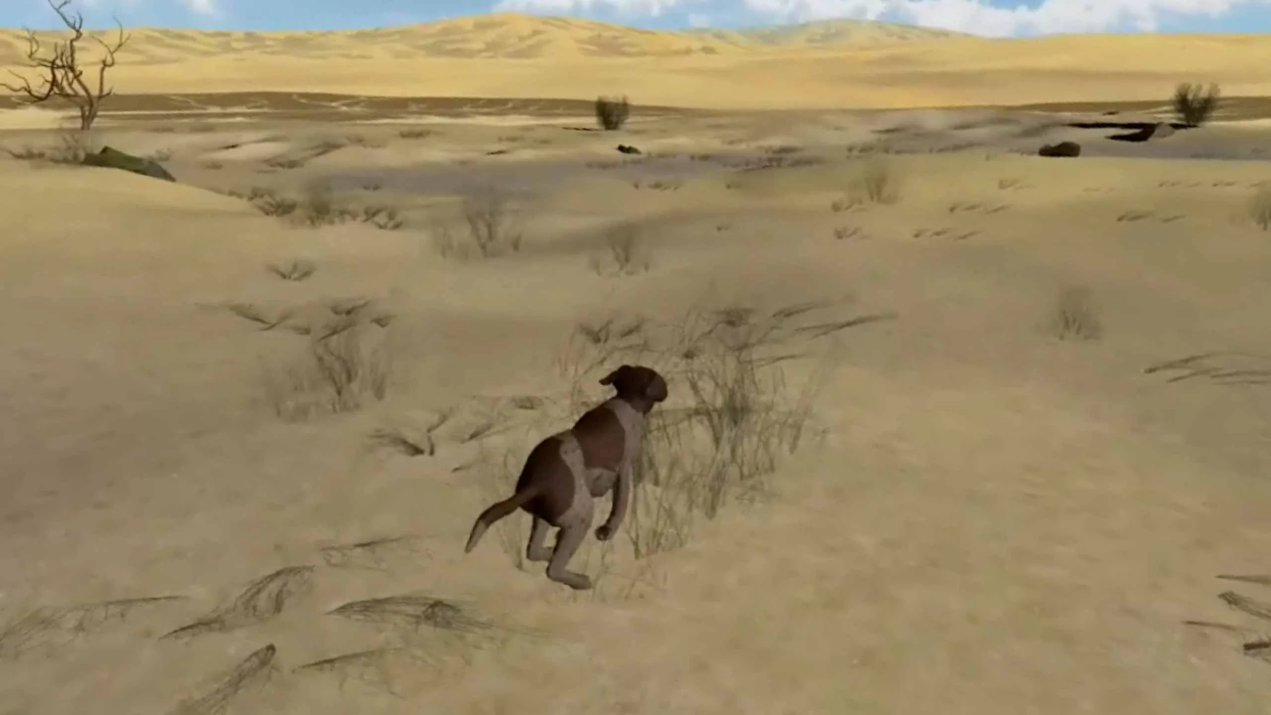 Oculus Quest 游戏《飞盘狩猎 VR》Clay Hunt VR Clay Hunt VR Oculus Quest game