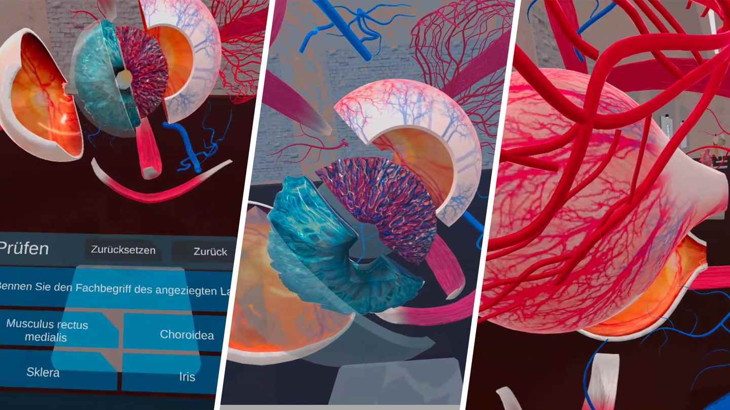 Oculus Quest game "Anatomy Lab" VR Anatomy Lab VR Anatomy Lab Oculus Meta Quest VR game