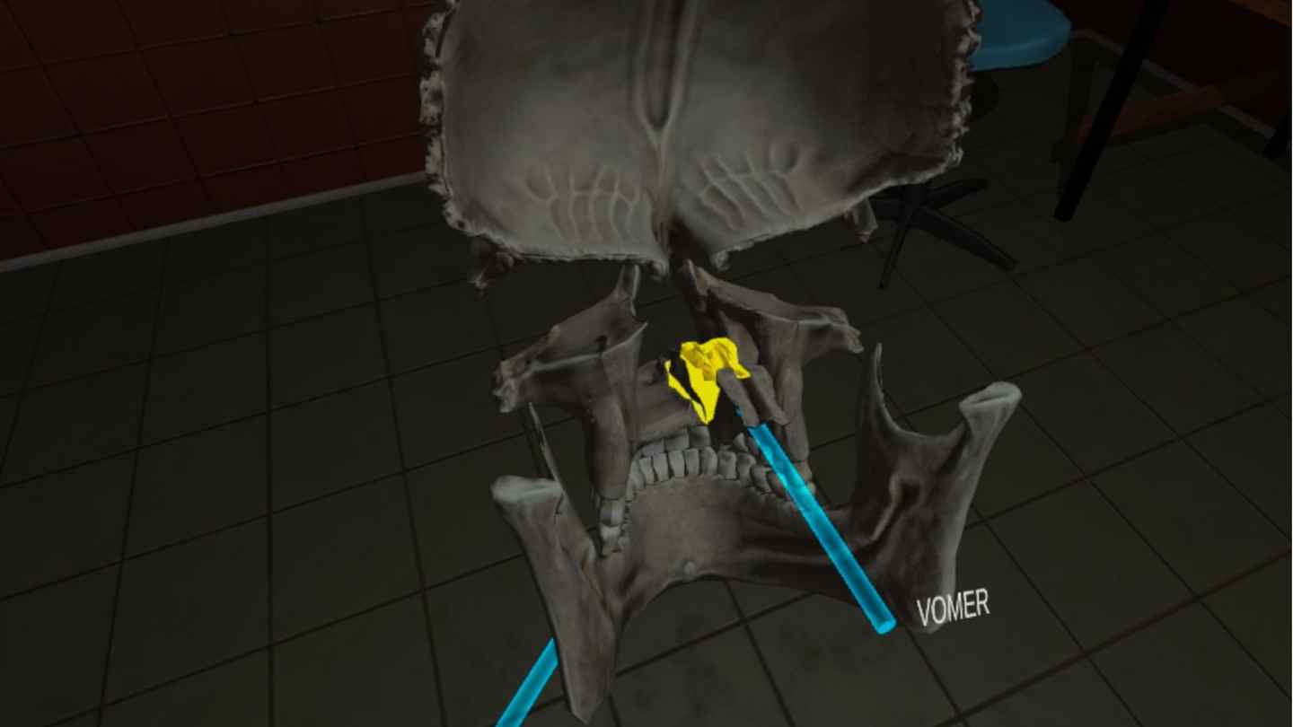 Oculus Quest 游戏《人体解剖学》Human Anatomy Puzzle Human Anatomy Puzzle VR Oculus Meta Quest all-in-one education game
