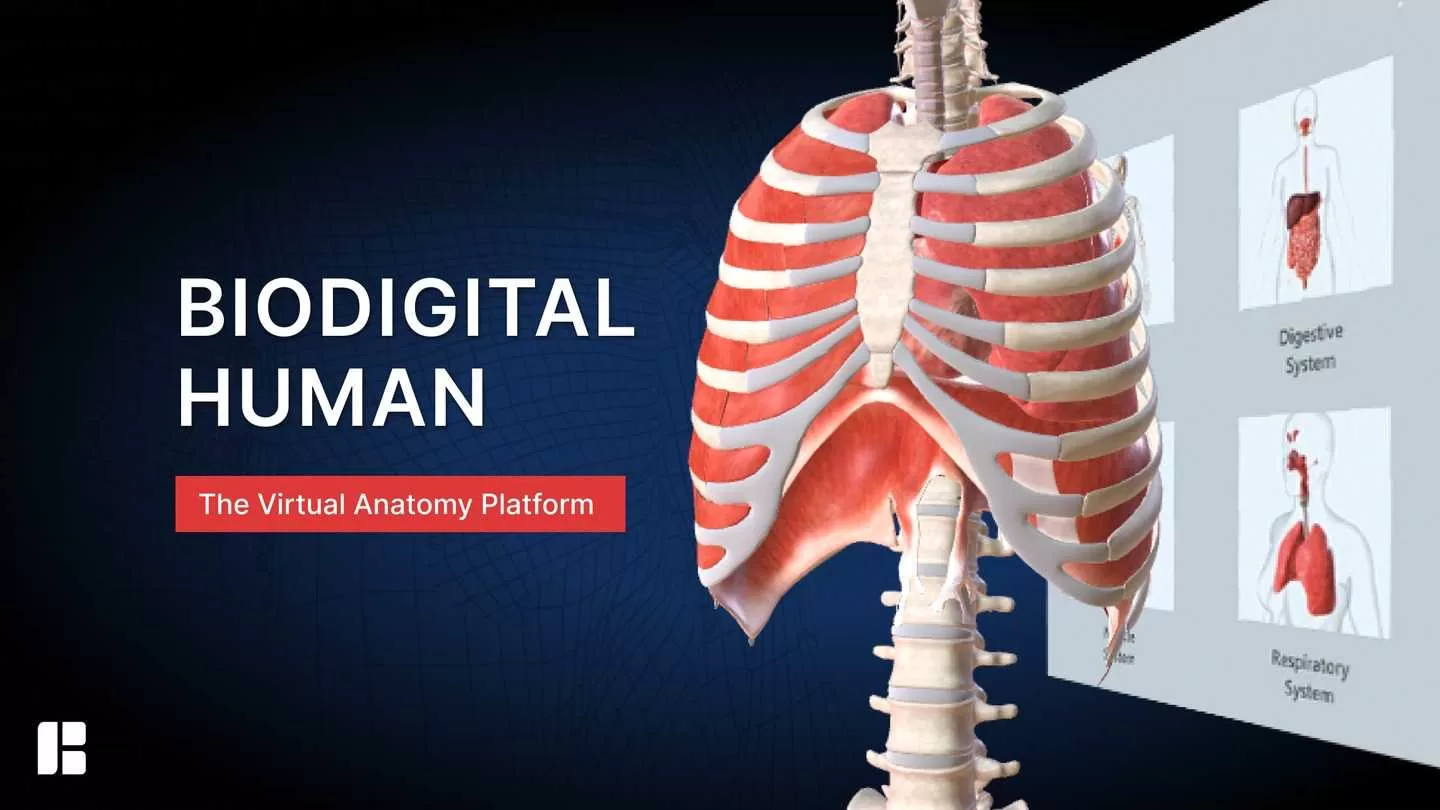 Oculus Quest game BioDigital Human The BioDigital Human VR Oculus Meta Quest all-in-one education game