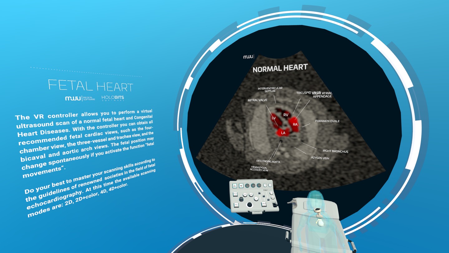 Oculus Quest game "Fetal Heart VR" Fetal Heart VR Oculus Meta Quest all-in-one Education game