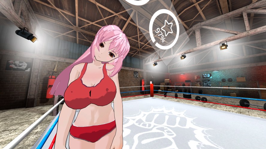 Hentai Fighters VR Oculus Meta Quest all-in-one adult game