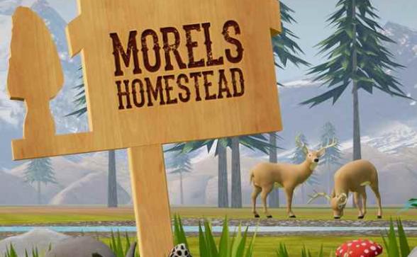Oculus Quest 游戏《农场家园》Morels: Homestead Morels Homestead VR Oculus Meta Quest fighting game