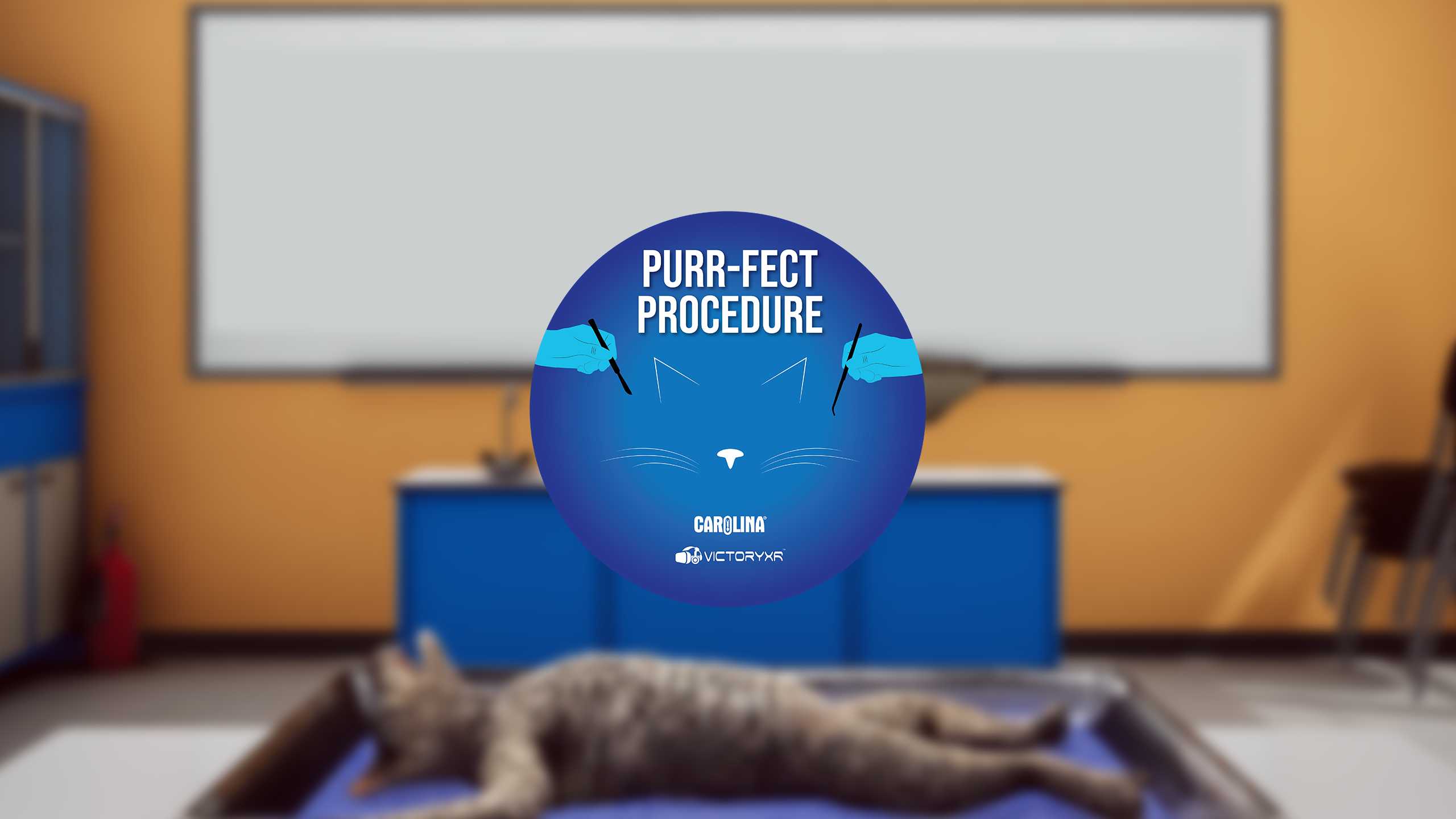 Oculus Quest游戏《解剖模拟器 猫科动物》Dissection Simulator – Cat Edition Dissection Simulator–Cat Edition Oculus Meta Quest education game