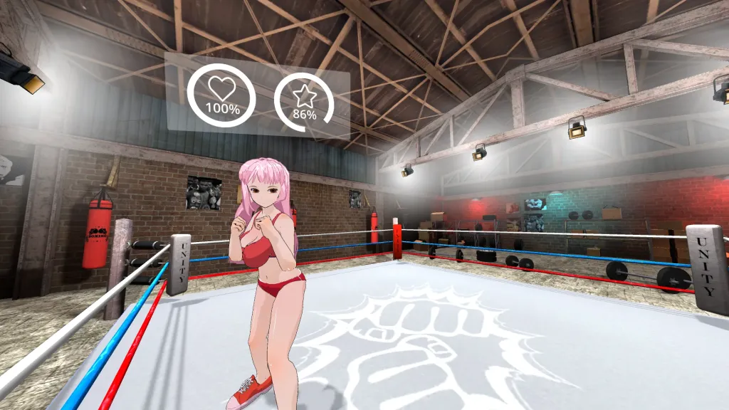 Hentai Fighters VR Oculus Meta Quest all-in-one adult game