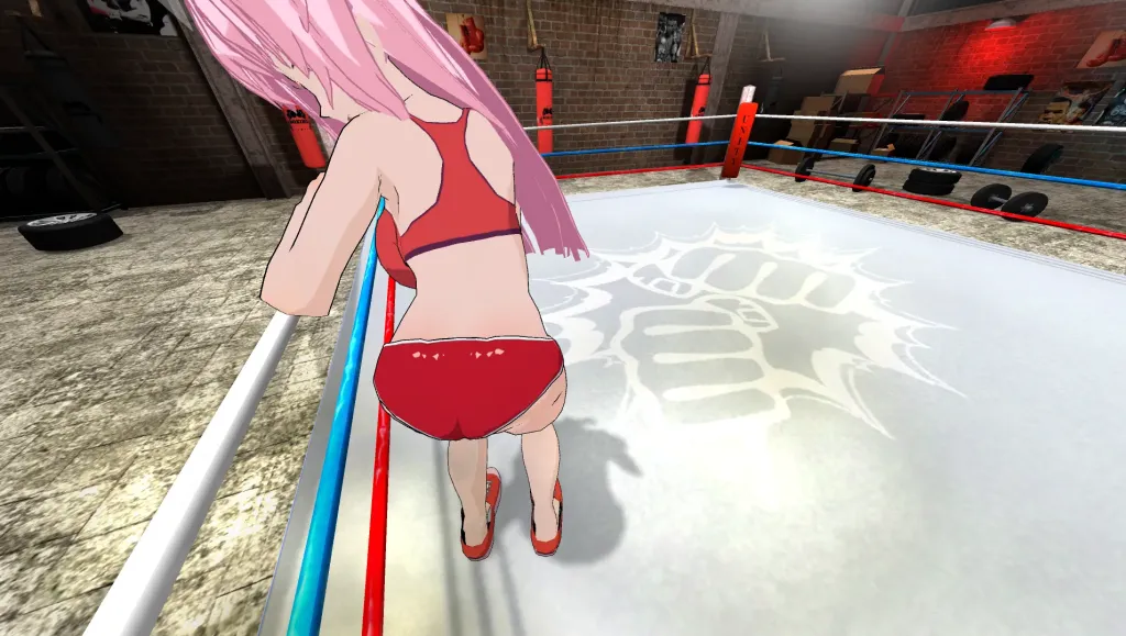 Hentai Fighters VR Oculus Meta Quest all-in-one adult game
