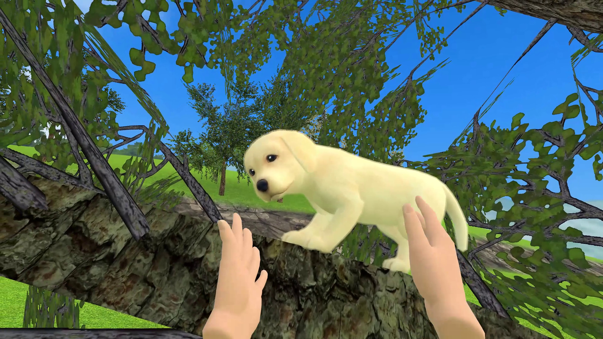Oculus Quest game "Pet Island VR" Little Island VR Little Island Oculus Meta Quest VR game