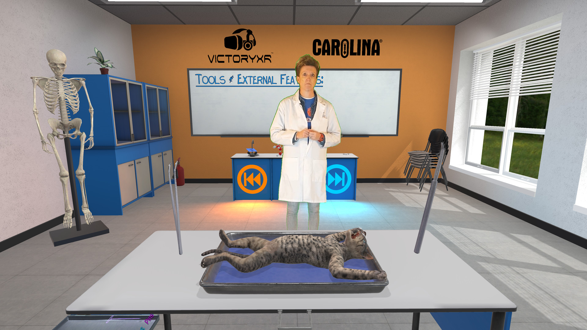 Oculus Quest游戏《解剖模拟器 猫科动物》Dissection Simulator – Cat Edition Dissection Simulator–Cat Edition Oculus Meta Quest education game
