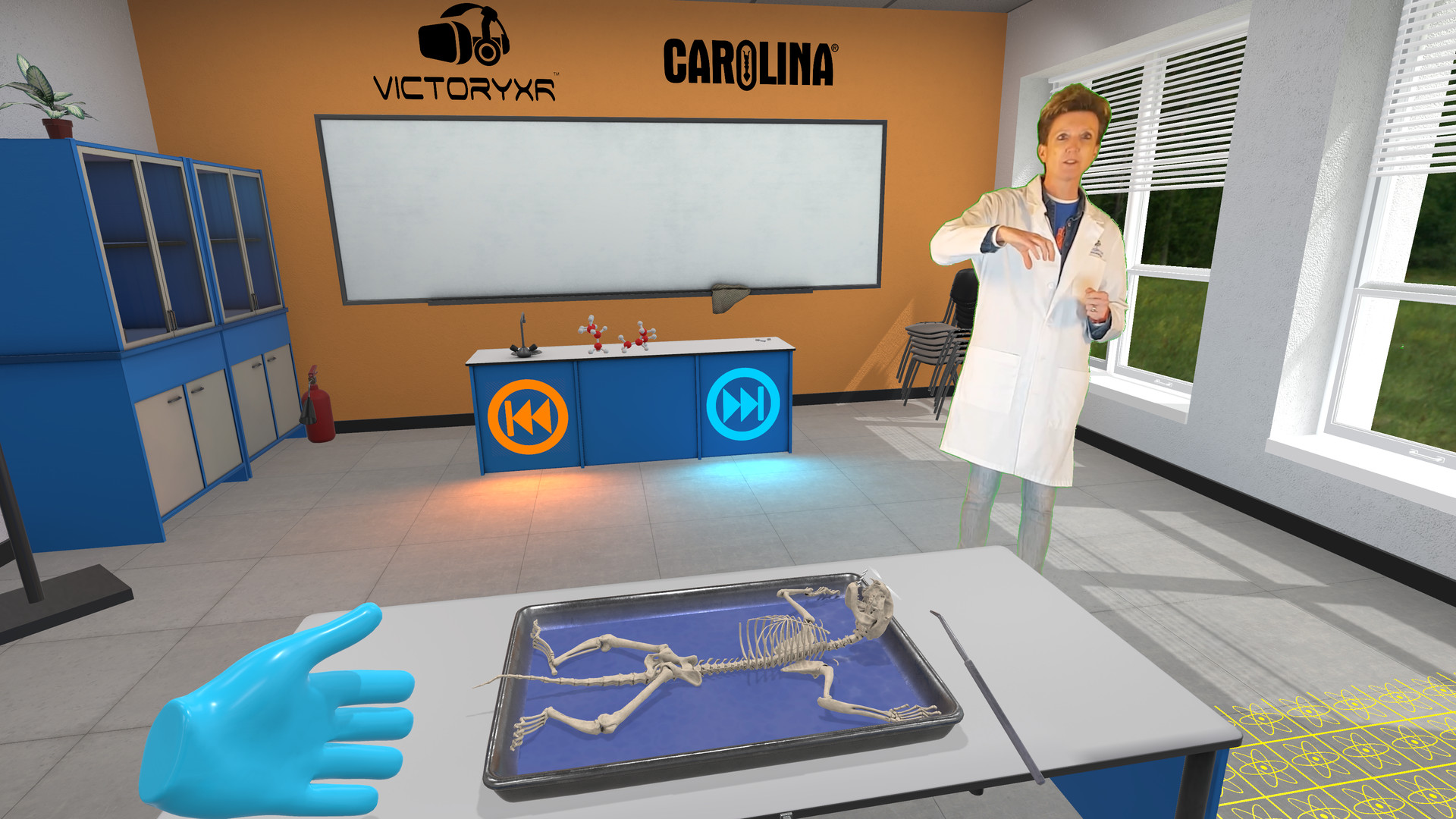 Oculus Quest游戏《解剖模拟器 猫科动物》Dissection Simulator – Cat Edition Dissection Simulator–Cat Edition Oculus Meta Quest education game