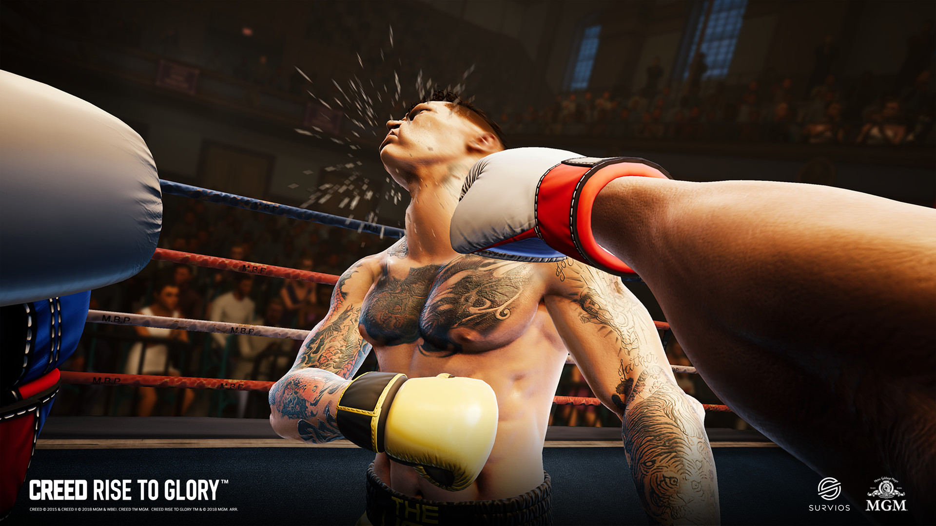 Oculus Quest 游戏《奎恩拳击 -荣耀擂台》Creed: Rise to Glory Creed-Rise to Glory Oculus Quest Boxing Game