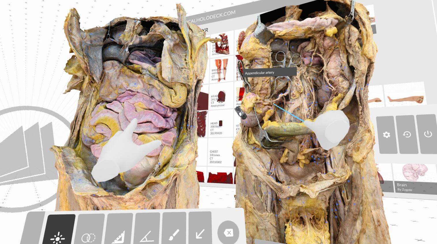 Oculus Quest 游戏《医疗全息甲板解剖大师 XR》Medicalholodeck is Dissection Master XR Dissection Master XR Oculus Meta Quest education game