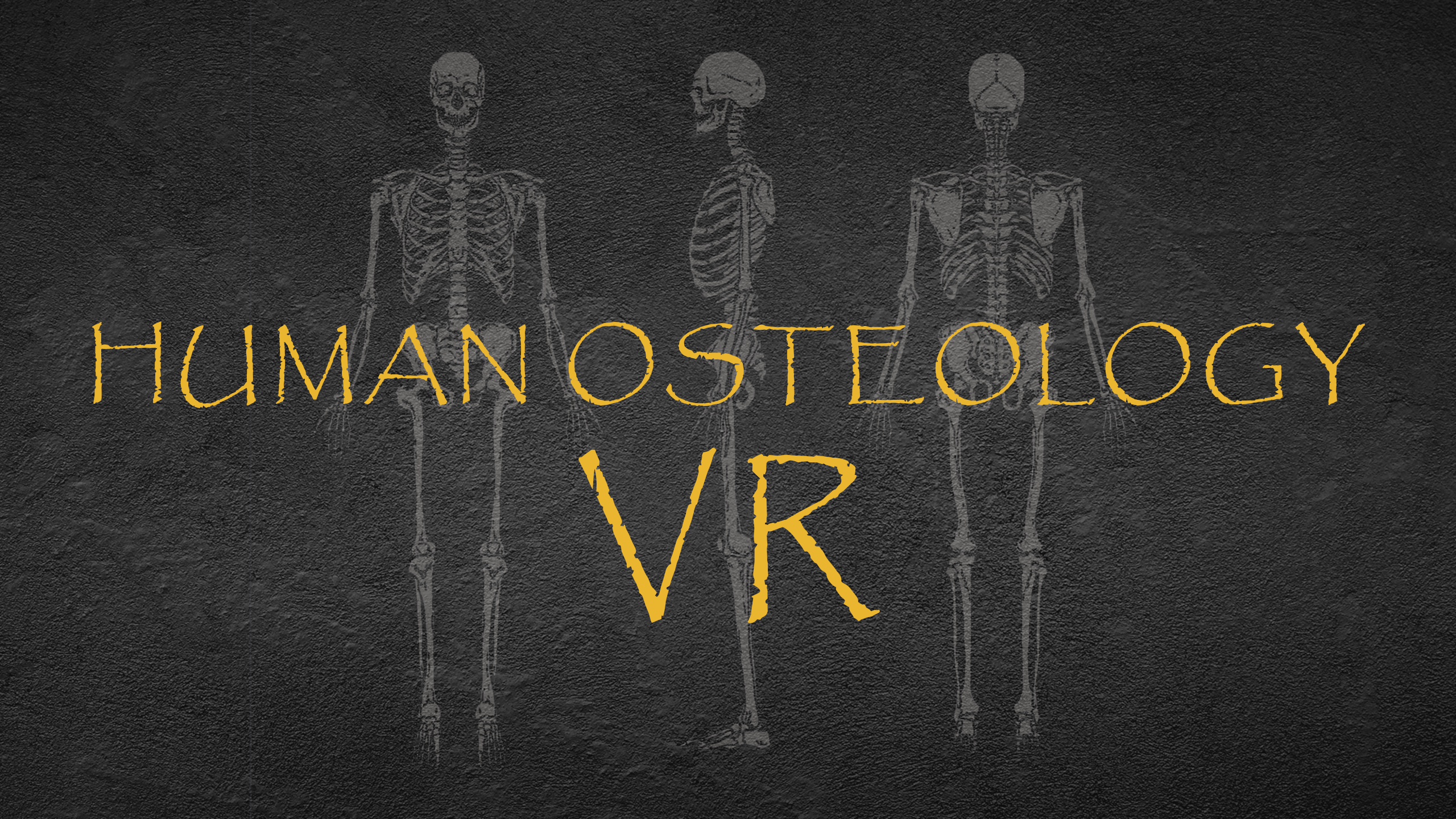 Oculus Quest 游戏《人体骨科 VR》Human Osteology VR Human Anatomy VR Oculus Meta Quest education game