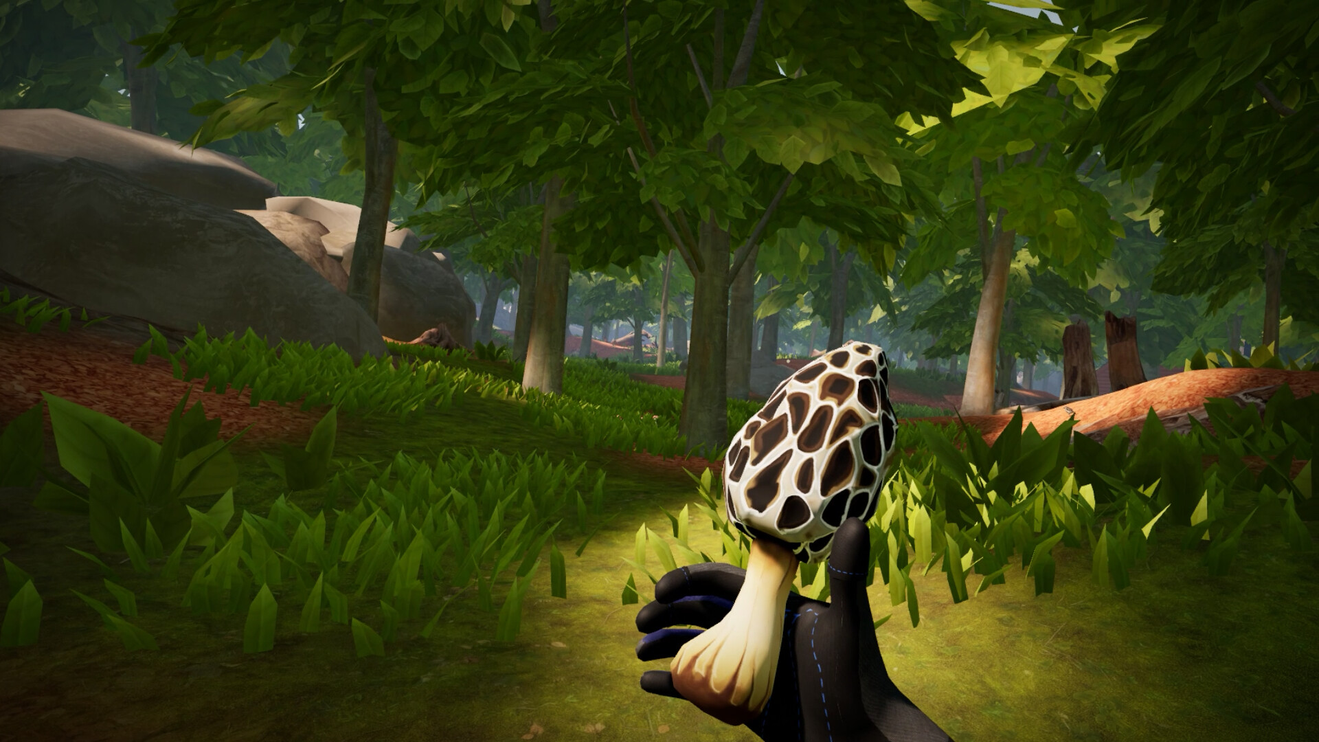 Oculus Quest 游戏《农场家园》Morels: Homestead Morels Homestead VR Oculus Meta Quest fighting game