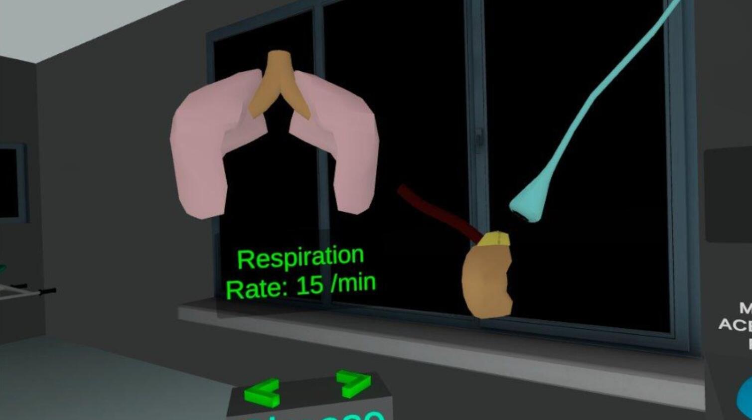 Oculus Quest 游戏《自主神经系统模拟器》Autonomic Nervous System Simulator Autonomic Nervous System Simulator Oculus Meta Quest VR Game