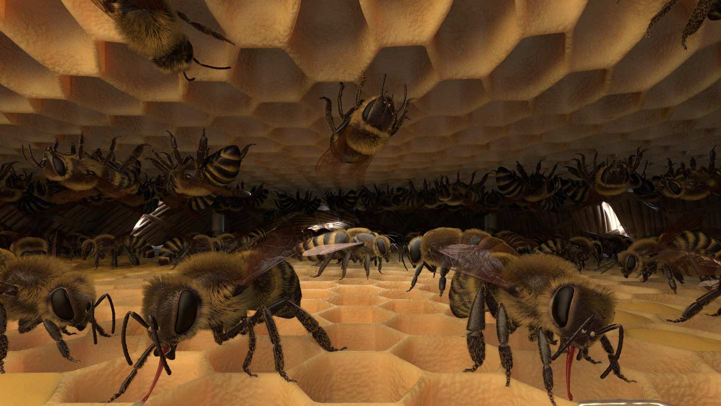 Oculus Quest 游戏《蜜蜂VR》Honeybee VR Honeybee VR Quest Game