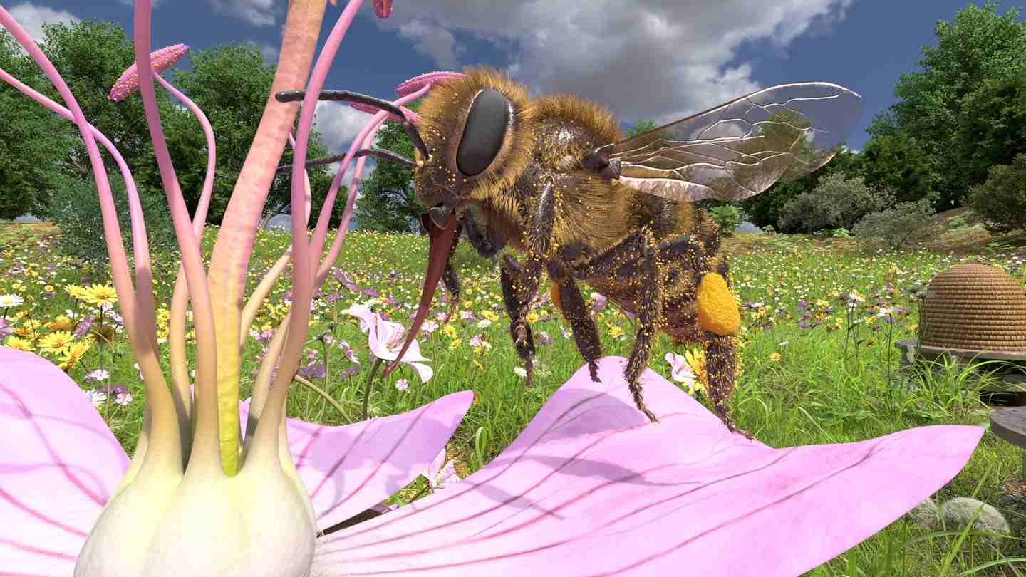 Oculus Quest 游戏《蜜蜂VR》Honeybee VR Honeybee VR Quest Game