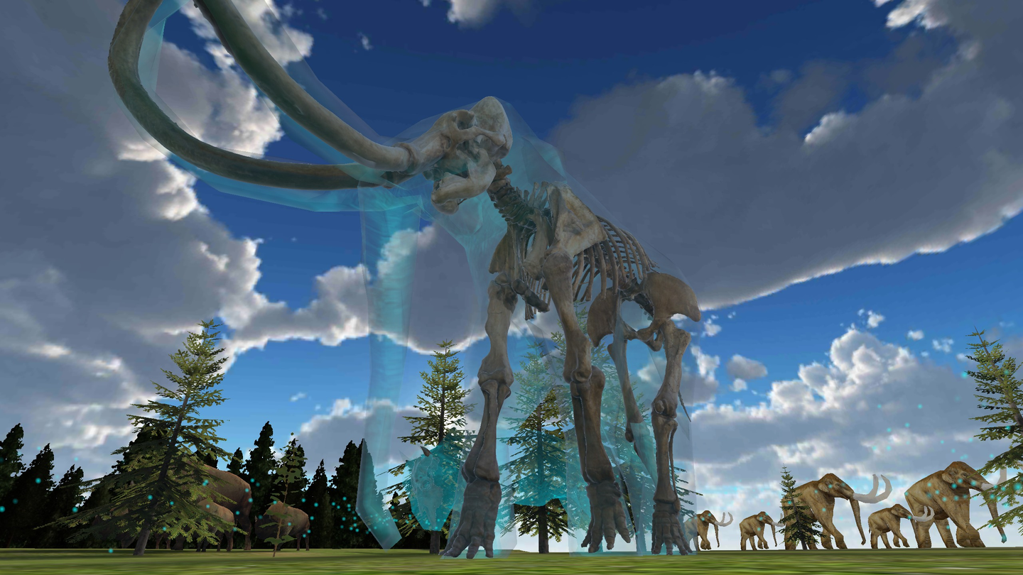 Oculus Quest 游戏《内布拉斯加州探险:自然历史 VR 博物馆》Expedition Nebraska: A Natural History VR Experience Expedition Nebraska: A Natural History VR Experience Oculus Meta Quest