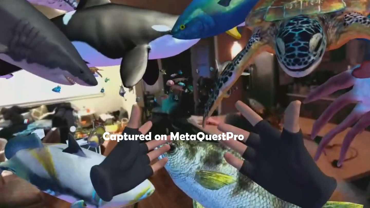 Oculus Quest 游戏《海洋世界》Ocean Passthrough Ocean Passthrough VR Quest Games