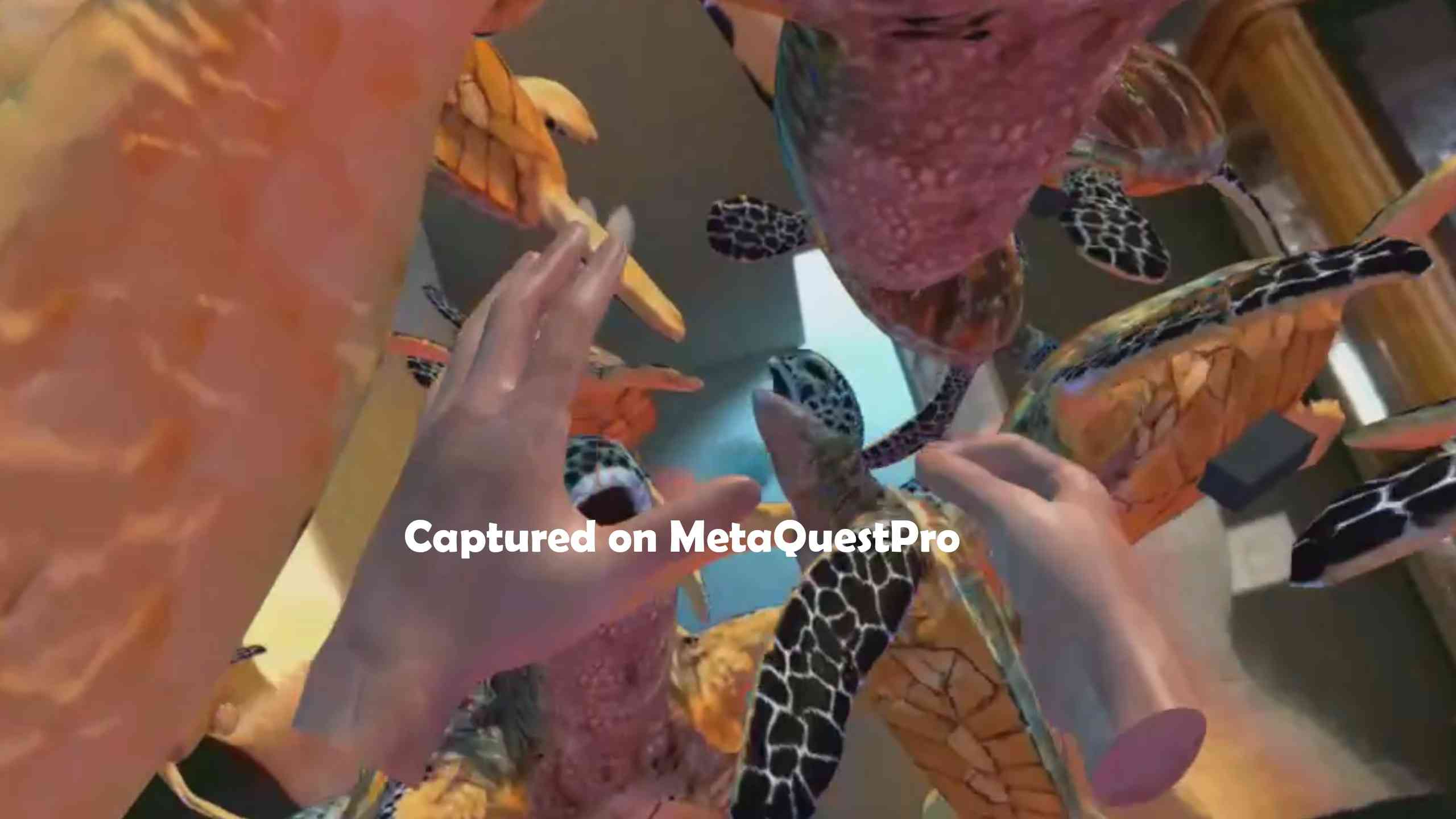 Oculus Quest 游戏《海洋世界》Ocean Passthrough Ocean Passthrough VR Quest Games