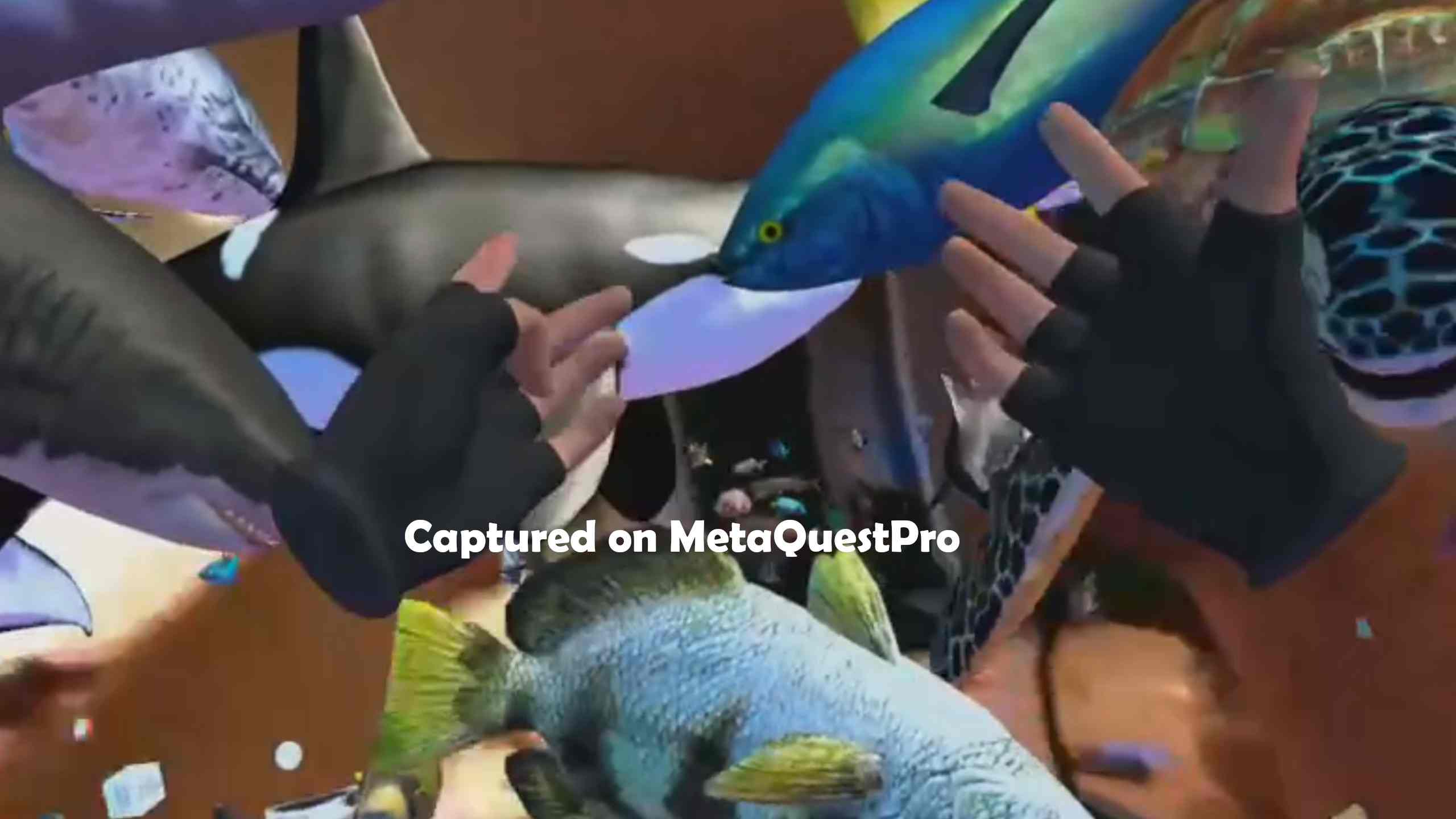 Oculus Quest 游戏《海洋世界》Ocean Passthrough Ocean Passthrough VR Quest Games