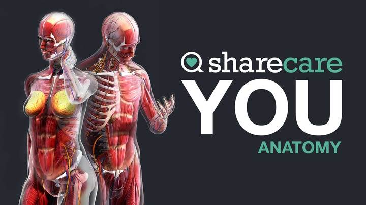 Oculus Quest 游戏《器官解刨学》Sharecare YOU Anatomy VR Sharecare YOU Anatomy Oculus Meta Quest VR Games