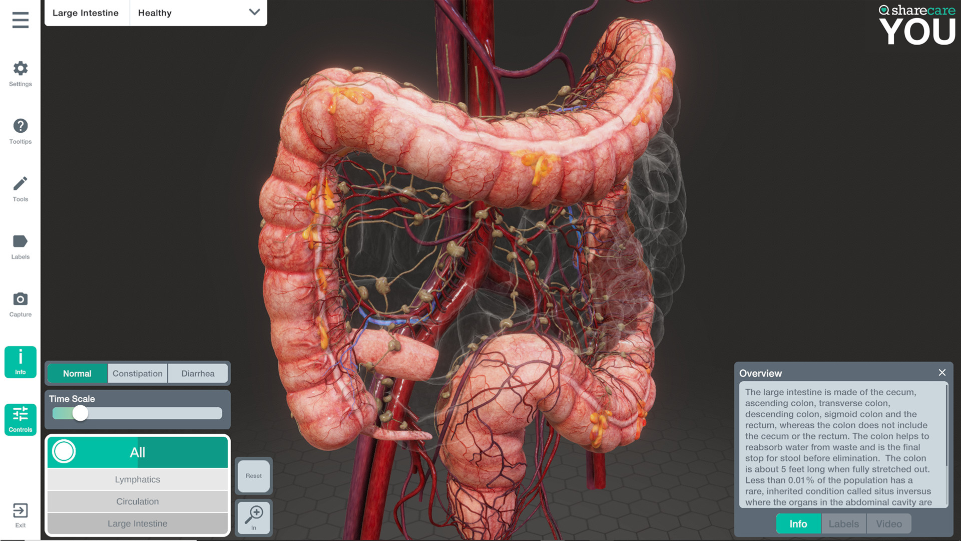 Oculus Quest 游戏《器官解刨学》Sharecare YOU Anatomy VR Sharecare YOU Anatomy Oculus Meta Quest VR Games