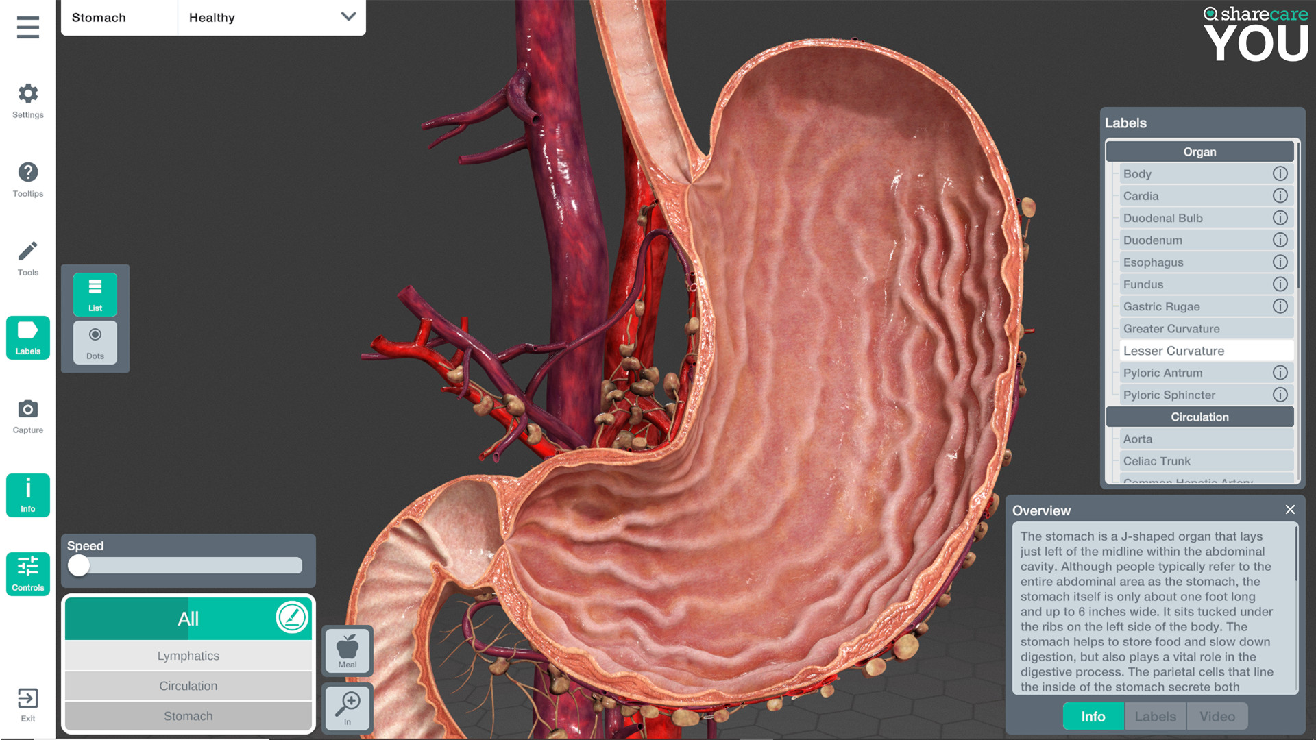 Oculus Quest 游戏《器官解刨学》Sharecare YOU Anatomy VR Sharecare YOU Anatomy Oculus Meta Quest VR Games