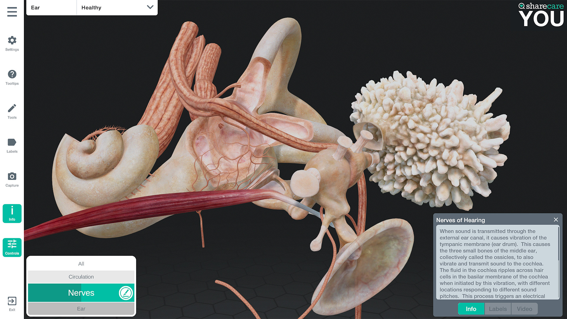 Oculus Quest 游戏《器官解刨学》Sharecare YOU Anatomy VR Sharecare YOU Anatomy Oculus Meta Quest VR Games