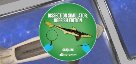 Oculus Quest 游戏《解剖模拟器 鲨鱼》Dissection Simulator: Shark Edition VR Dissection Simulator- Shark Edition Oculus Meta Quest VR Game