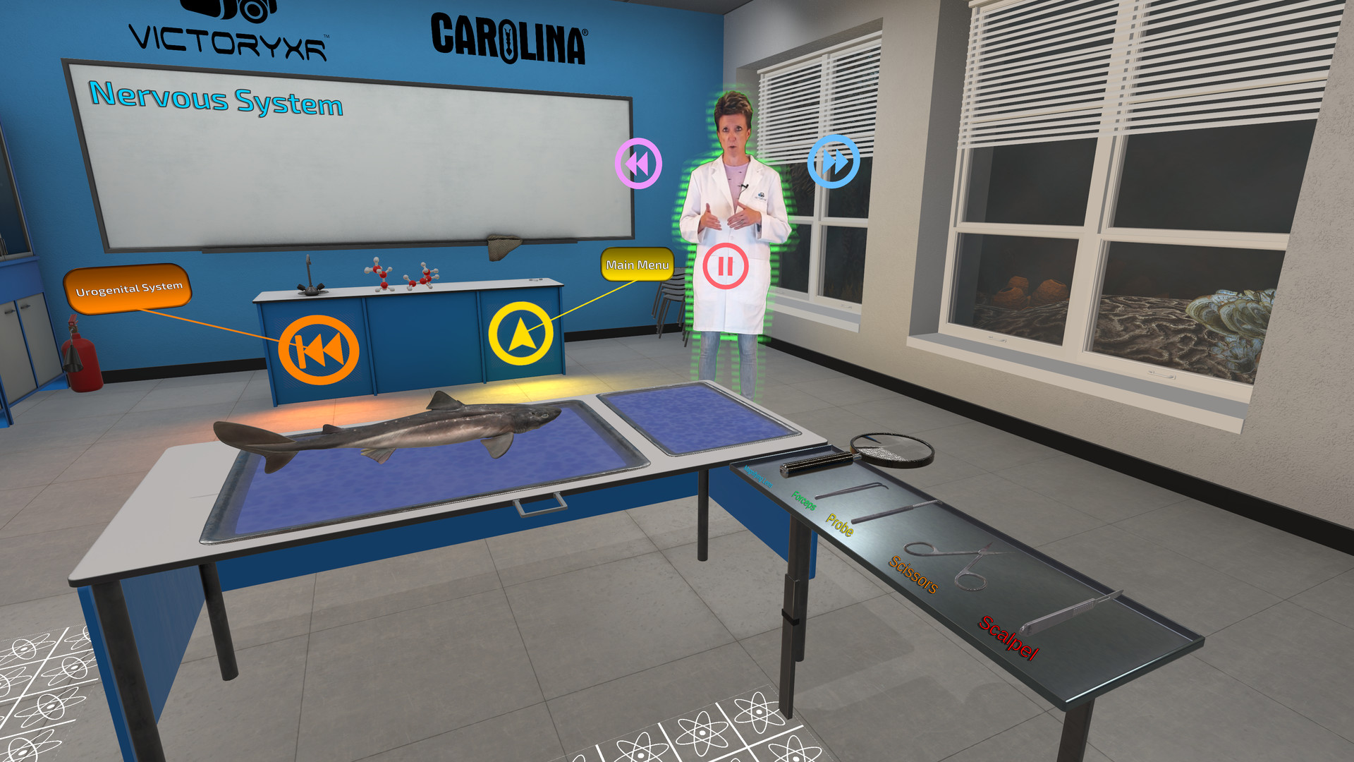 Oculus Quest 游戏《解剖模拟器 鲨鱼》Dissection Simulator: Shark Edition VR Dissection Simulator- Shark Edition Oculus Meta Quest VR Game