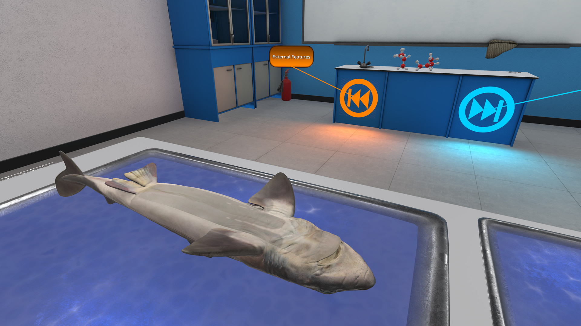Oculus Quest 游戏《解剖模拟器 鲨鱼》Dissection Simulator: Shark Edition VR Dissection Simulator- Shark Edition Oculus Meta Quest VR Game