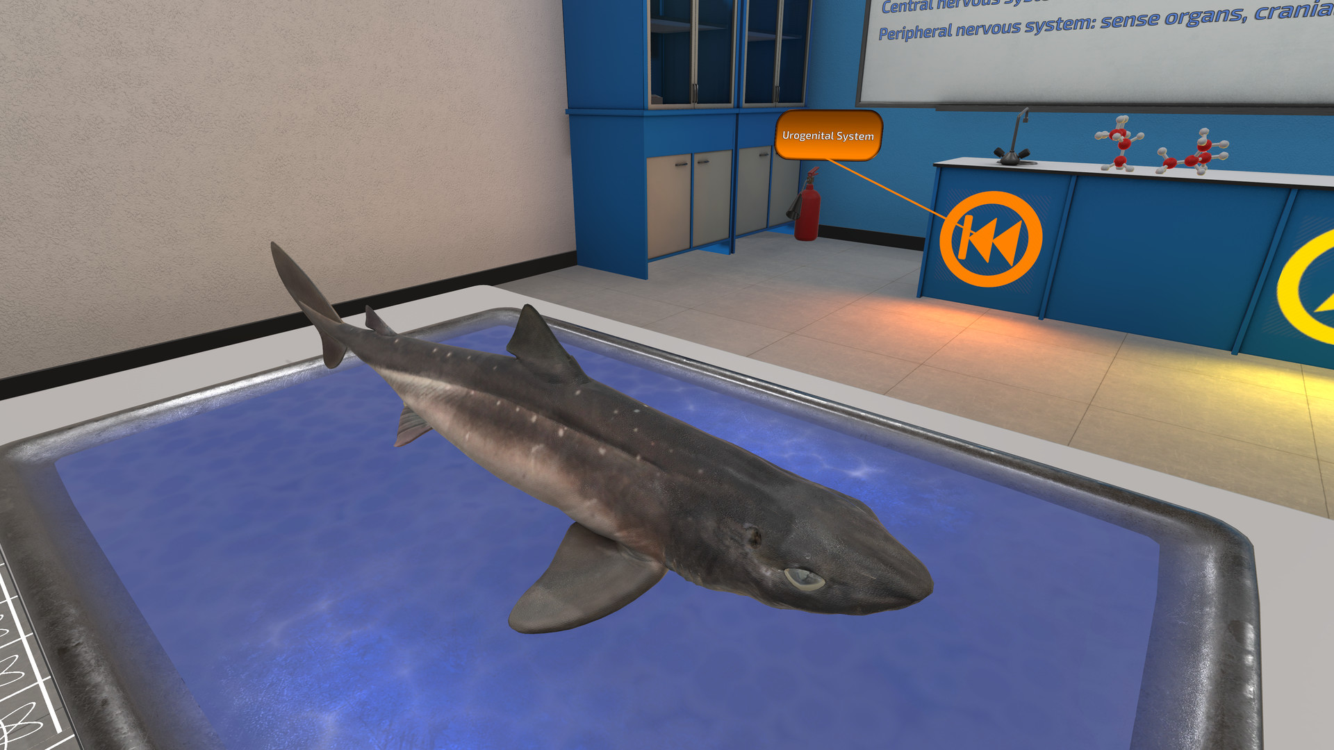 Oculus Quest 游戏《解剖模拟器 鲨鱼》Dissection Simulator: Shark Edition VR Dissection Simulator- Shark Edition Oculus Meta Quest VR Game