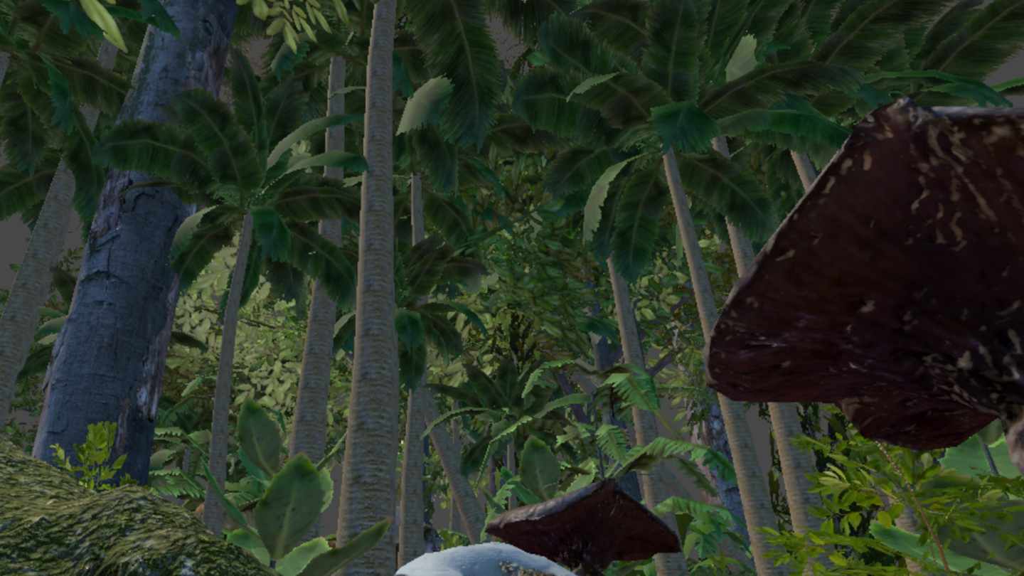 Jungle Passthrough Oculus Meta Quest VR Game